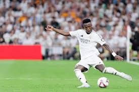 定细腻的配 定细腻的配